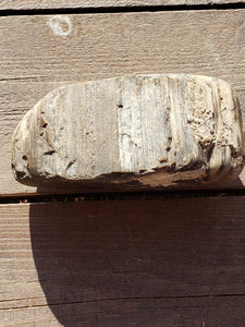 3 lb. MONTANA SLAB OF PETRIFIED WOOD